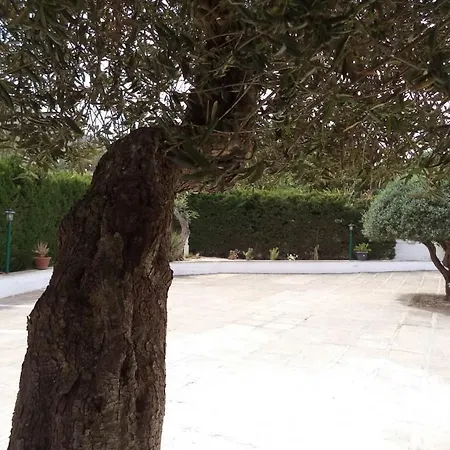 Bed & Breakfast Oltremare *