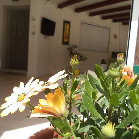 Bed & Breakfast Oltremare